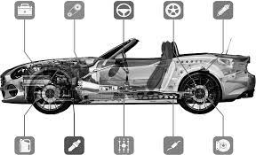 complex diagnostick